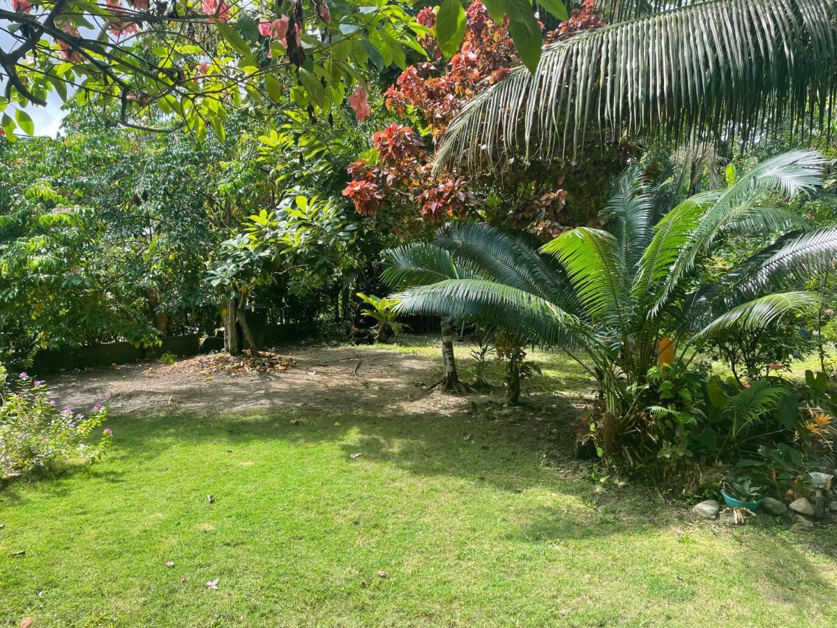 Cabanas Tucan Eco Hotel Capurganá Exterior foto