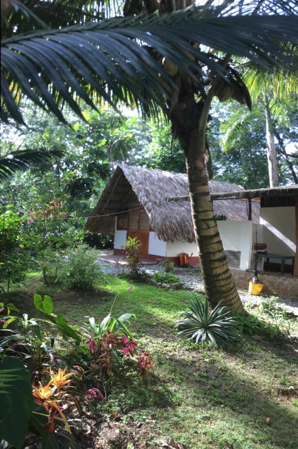 Cabanas Tucan Eco Hotel Capurganá Exterior foto